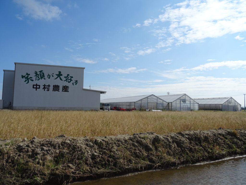 中村農産の施設