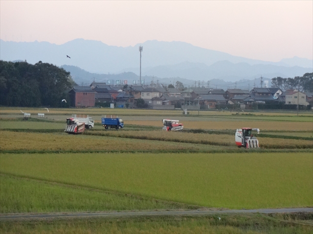 中村農産の圃場作業風景