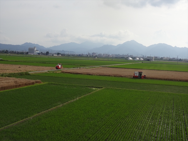 中村農産の圃場作業風景
